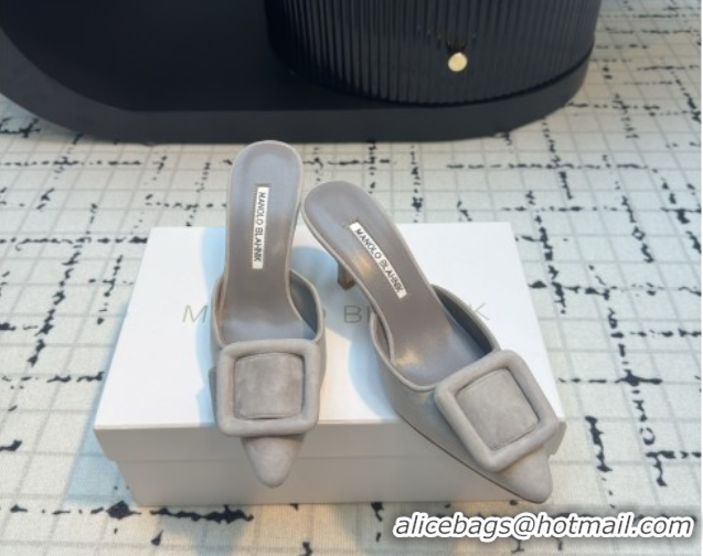 Good Looking Manolo Blahnik MAYSALE 70 Mules with Buckle in Suede 5112526 Grey 2026