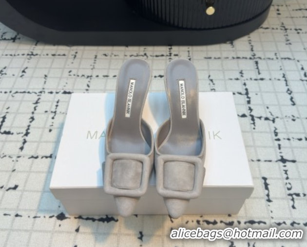 Good Looking Manolo Blahnik MAYSALE 70 Mules with Buckle in Suede 5112526 Grey 2026