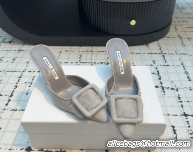 Good Looking Manolo Blahnik MAYSALE 70 Mules with Buckle in Suede 5112526 Grey 2026