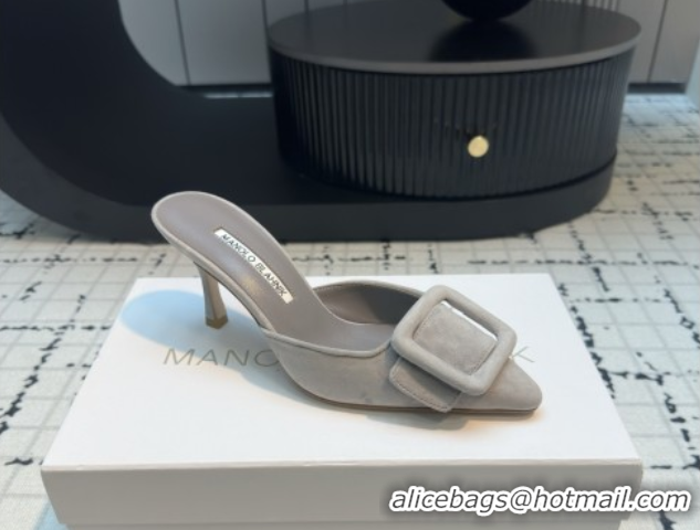 Good Looking Manolo Blahnik MAYSALE 70 Mules with Buckle in Suede 5112526 Grey 2026