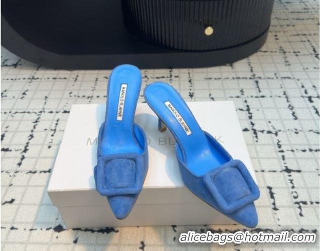 Pretty Style Manolo Blahnik MAYSALE 70 Mules with Buckle in Suede 5112526 Blue 2026