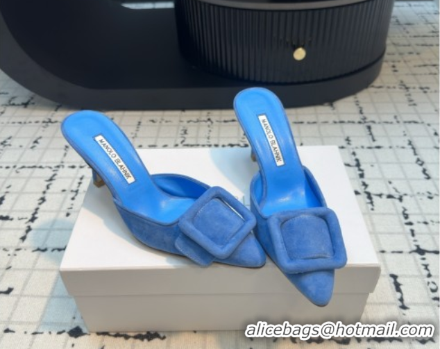 Pretty Style Manolo Blahnik MAYSALE 70 Mules with Buckle in Suede 5112526 Blue 2026