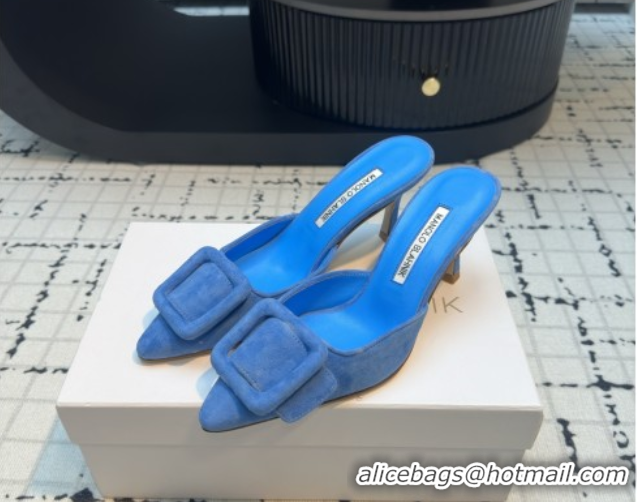 Pretty Style Manolo Blahnik MAYSALE 70 Mules with Buckle in Suede 5112526 Blue 2026