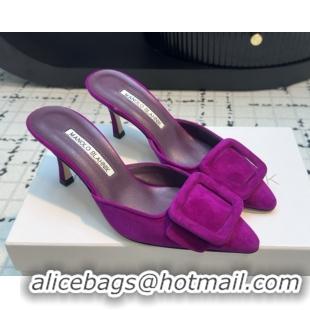 Grade Quality Manolo Blahnik MAYSALE 70 Mules with Buckle in Suede 5112526 Purple 2026