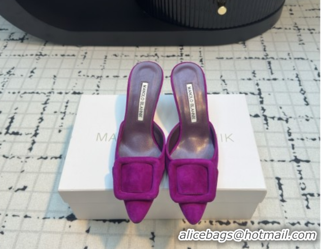 Grade Quality Manolo Blahnik MAYSALE 70 Mules with Buckle in Suede 5112526 Purple 2026