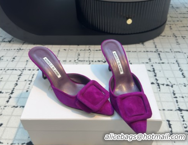 Grade Quality Manolo Blahnik MAYSALE 70 Mules with Buckle in Suede 5112526 Purple 2026