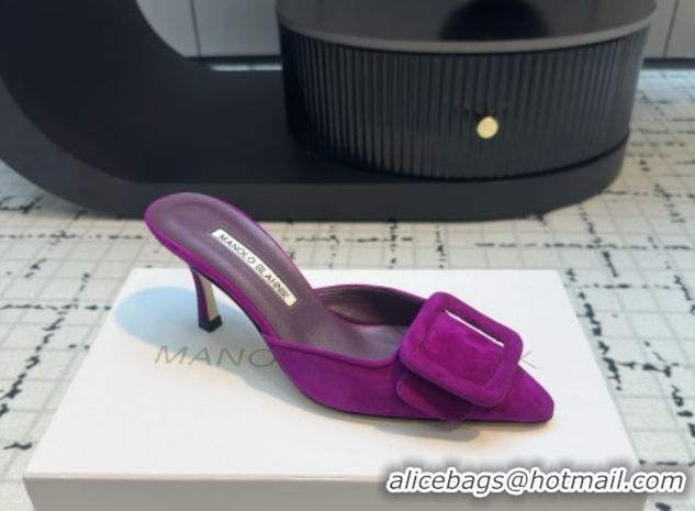 Grade Quality Manolo Blahnik MAYSALE 70 Mules with Buckle in Suede 5112526 Purple 2026