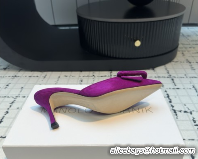 Grade Quality Manolo Blahnik MAYSALE 70 Mules with Buckle in Suede 5112526 Purple 2026