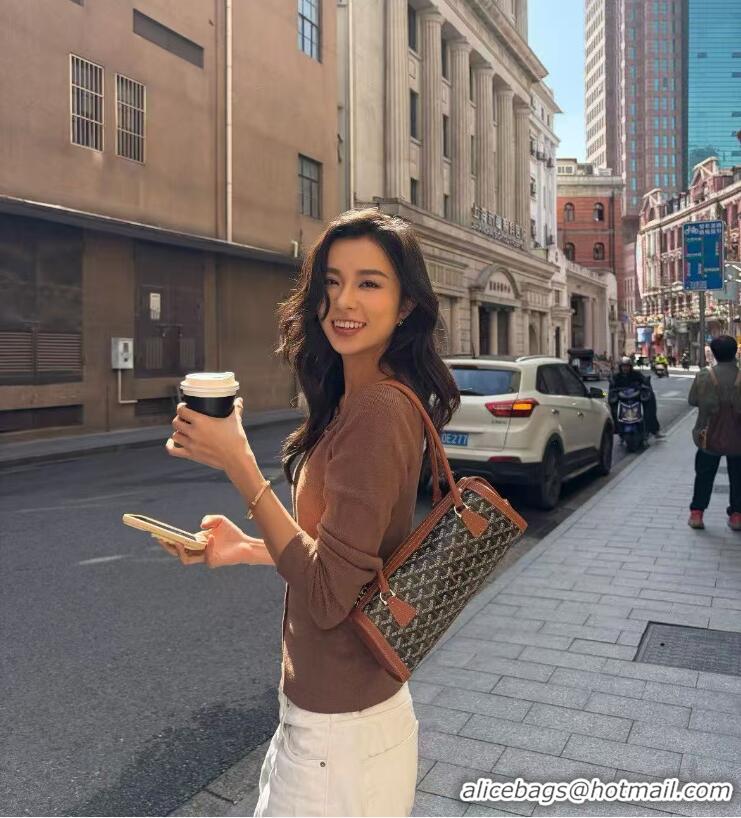 Best Product Goyard Bonbonnière Shoulder Bag 020223 Black And Tan 2026