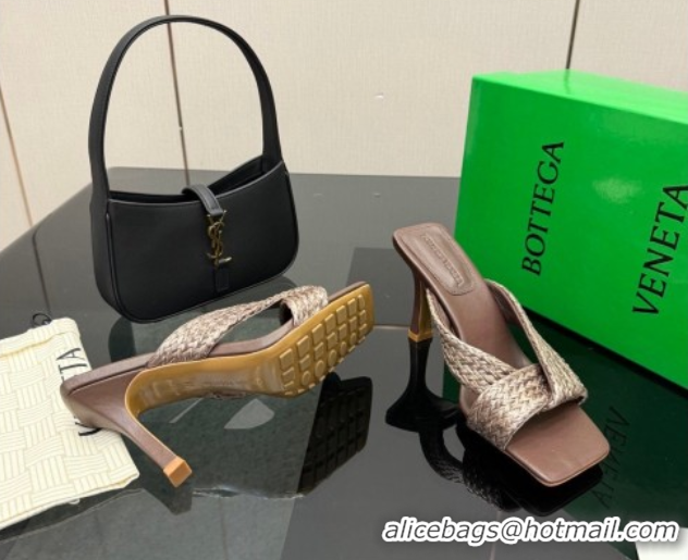 Purchase Bottega Veneta Riva Heel Slides Sandal 9.5cm in Braided Straw 861494 Brown 2026