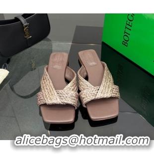 Low Cost Bottega Veneta Riva Flat Slides Sandal in Braided Straw 861494 Brown 2026