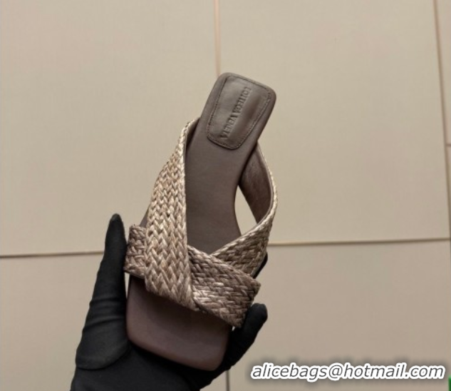 Low Cost Bottega Veneta Riva Flat Slides Sandal in Braided Straw 861494 Brown 2026