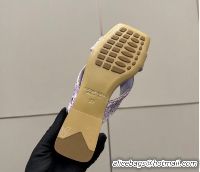 Best Product Bottega Veneta Riva Flat Slides Sandal in Braided Straw 861494 Light Purple 2026