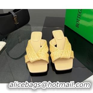 Most Popular Bottega Veneta Riva Flat Slides Sandal in Braided Straw 861494 Yellow 2026