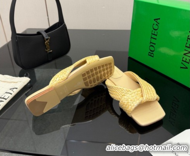 Most Popular Bottega Veneta Riva Flat Slides Sandal in Braided Straw 861494 Yellow 2026