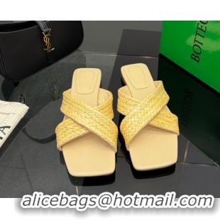 Stylish Bottega Veneta Riva Flat Slides Sandal in Braided Straw 861494 Yellow 2026