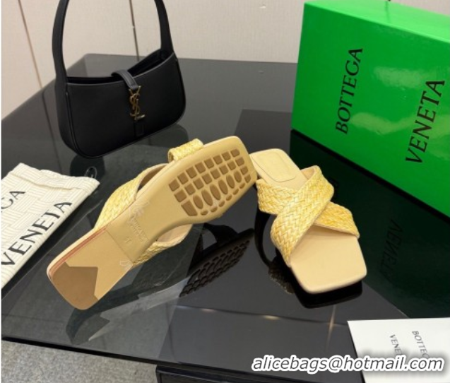 Stylish Bottega Veneta Riva Flat Slides Sandal in Braided Straw 861494 Yellow 2026