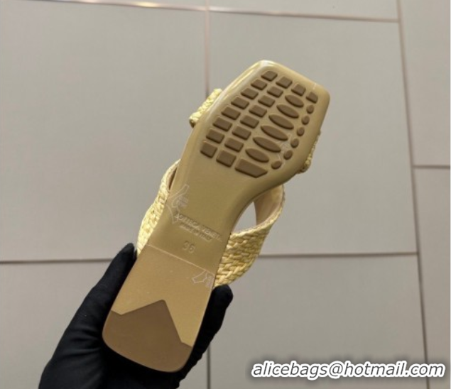 Stylish Bottega Veneta Riva Flat Slides Sandal in Braided Straw 861494 Yellow 2026