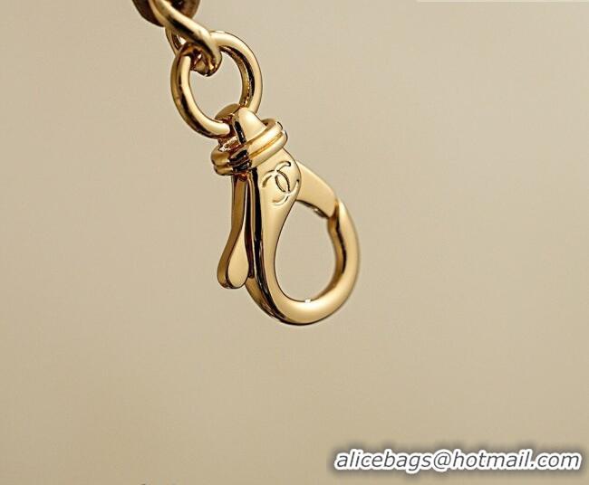 Promotional Chanel Goatskin Leather Vanity Case AP5100 Champagne 2026