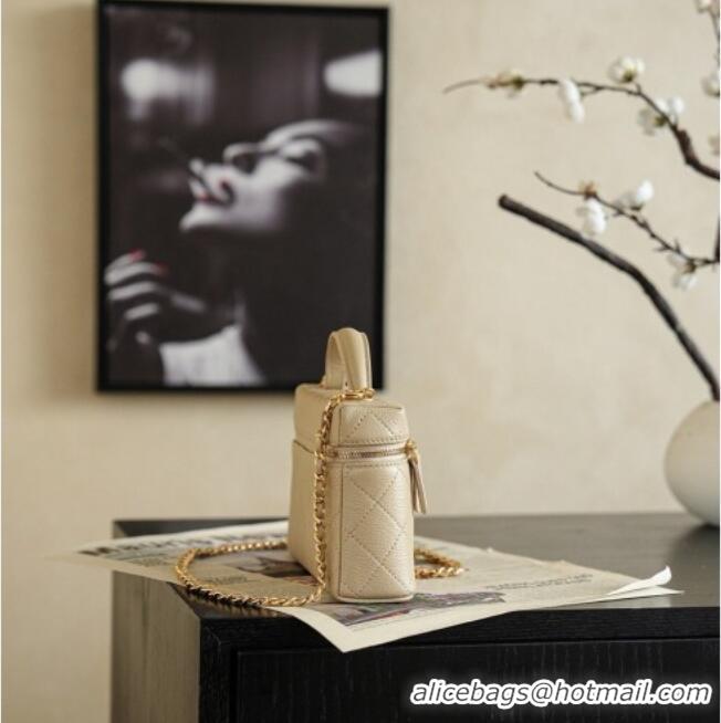 Promotional Chanel Goatskin Leather Vanity Case AP5100 Champagne 2026