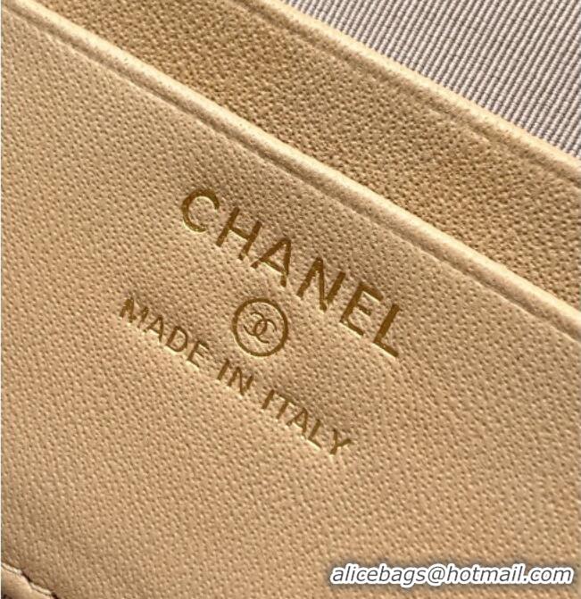 Big Discount Chanel Classic Vanity with Chain in Quilted Grained Calfskin CH041704 Champagne 2026