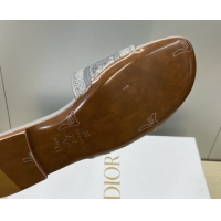Top Grade Dior Dway Flat Slides Sandal in Transparent and TPU Grey 2026 0302090