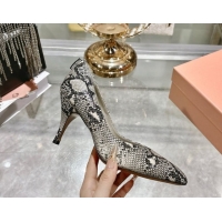 Top Grade Miu Miu Snakeskin Embossed Leather Pumps 7.5cm 5I546E Grey