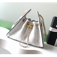 Best Product Chanel 25 Mini Hobo Handbag in Braided Raffia AS5631 White 2026