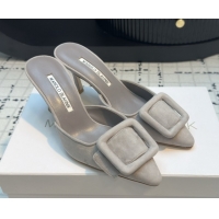 Good Looking Manolo Blahnik MAYSALE 70 Mules with Buckle in Suede 5112526 Grey 2026