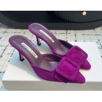 Grade Quality Manolo Blahnik MAYSALE 70 Mules with Buckle in Suede 5112526 Purple 2026