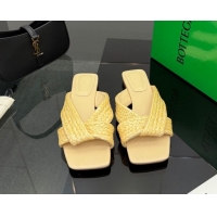 Most Popular Bottega Veneta Riva Flat Slides Sandal in Braided Straw 861494 Yellow 2026