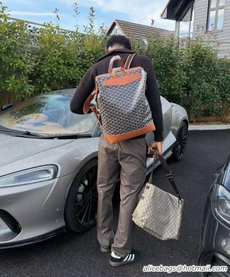 Shop Cheap Goyard Cisalpin Original Backpack 8039 Black And Tan