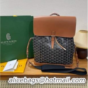 Newly Launched Goyard Alpin Original Backpack G8710 Black And Tan