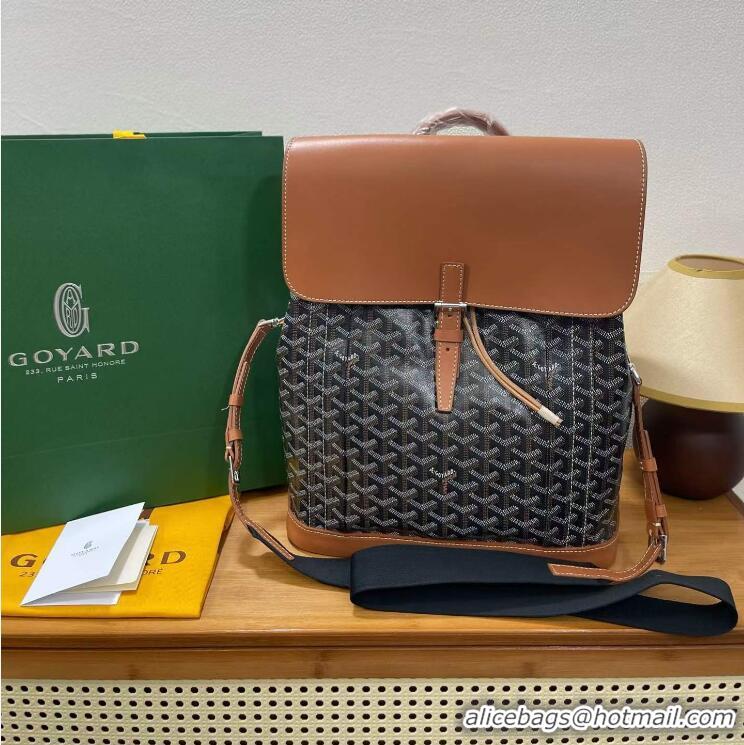 Newly Launched Goyard Alpin Original Backpack G8710 Black And Tan