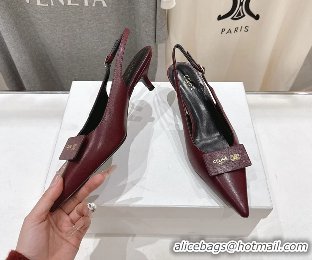 Buy Discount Celine Signature Slingback Pumps with Label Red Calfskin Leather 45MM 6051101 Red