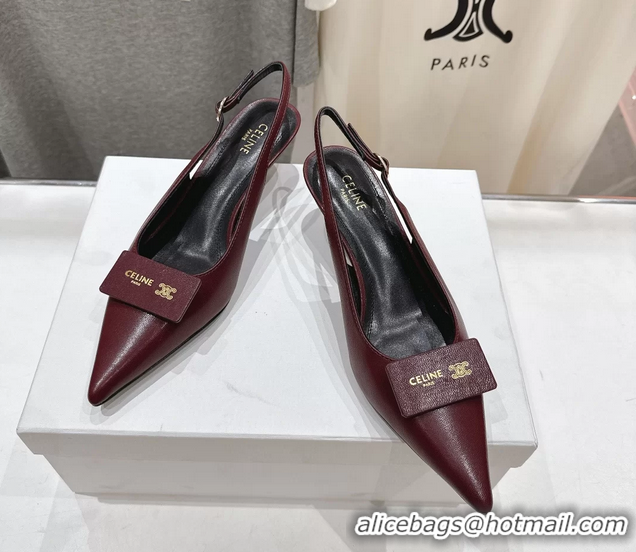 Buy Discount Celine Signature Slingback Pumps with Label Red Calfskin Leather 45MM 6051101 Red