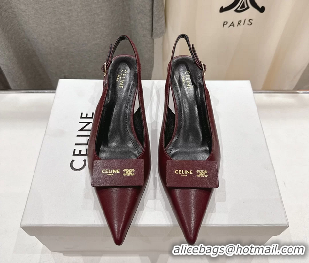 Buy Discount Celine Signature Slingback Pumps with Label Red Calfskin Leather 45MM 6051101 Red