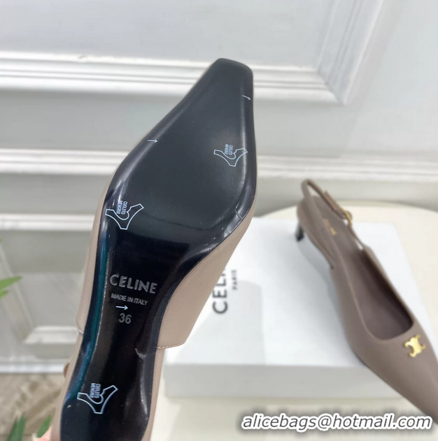 Unique Discount Celine Alma Triomphe Slingback Pumps Gray Calfskin Leather 60MM 6051107 Beige