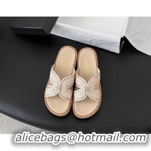 Sophisticated Chanel CC Beige Raffia Flat Slides Sandals Shoes 6051208