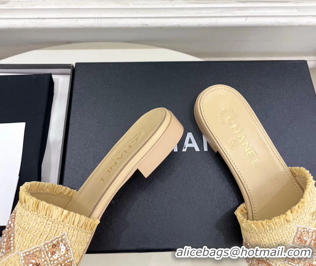 Good Quality Chanel CC Beige Woven Raffia Flat Slides Sandals Shoes 6051304
