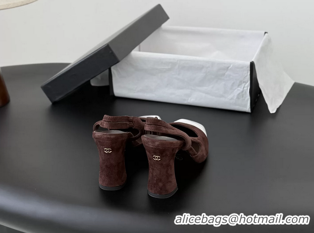 Purchase Chanel Slingback Pumps Dark Brown Suede Calfskin Leather 6051703