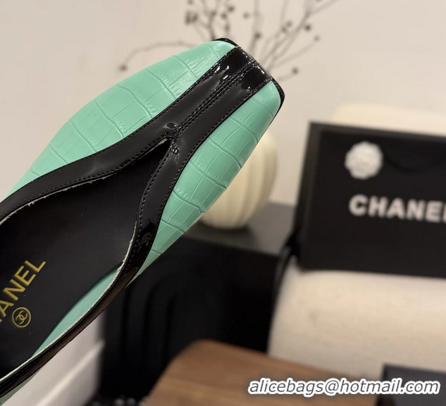 Shop Cheap Chanel Light Green Crocodile Embossed Calfskin Leather Flat Shoes 6051910