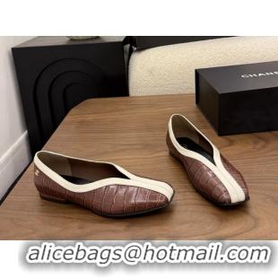 Fashion Chanel Brown Crocodile Embossed Calfskin Leather Flat Shoes 6052001