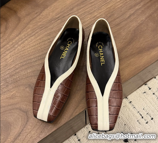 Fashion Chanel Brown Crocodile Embossed Calfskin Leather Flat Shoes 6052001