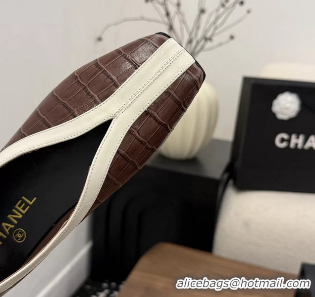 Fashion Chanel Brown Crocodile Embossed Calfskin Leather Flat Shoes 6052001