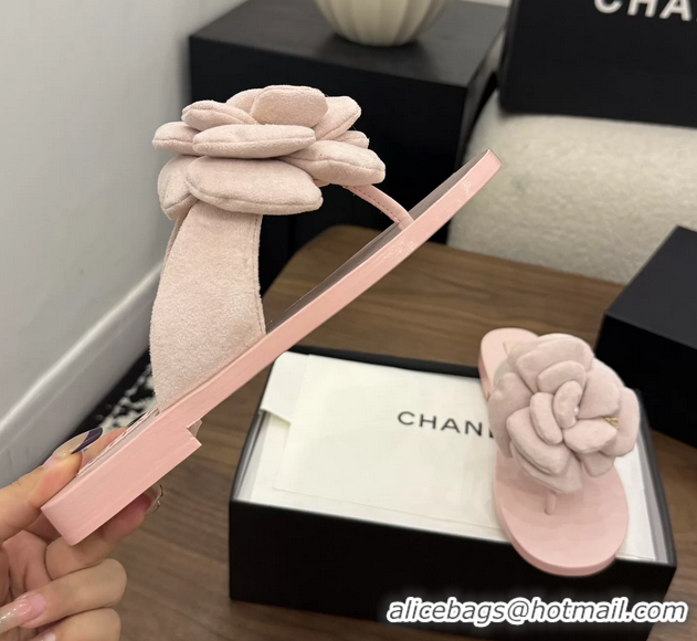 Discount Fashion Chanel Pink Camellia Flower Flat Thong Sandals 6052102