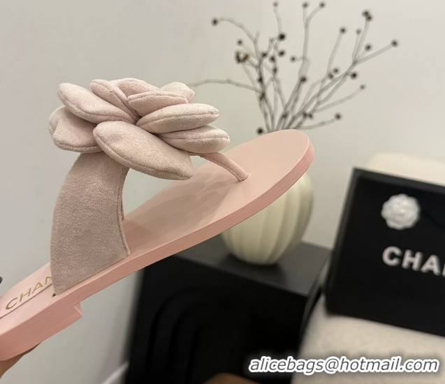 Discount Fashion Chanel Pink Camellia Flower Flat Thong Sandals 6052102