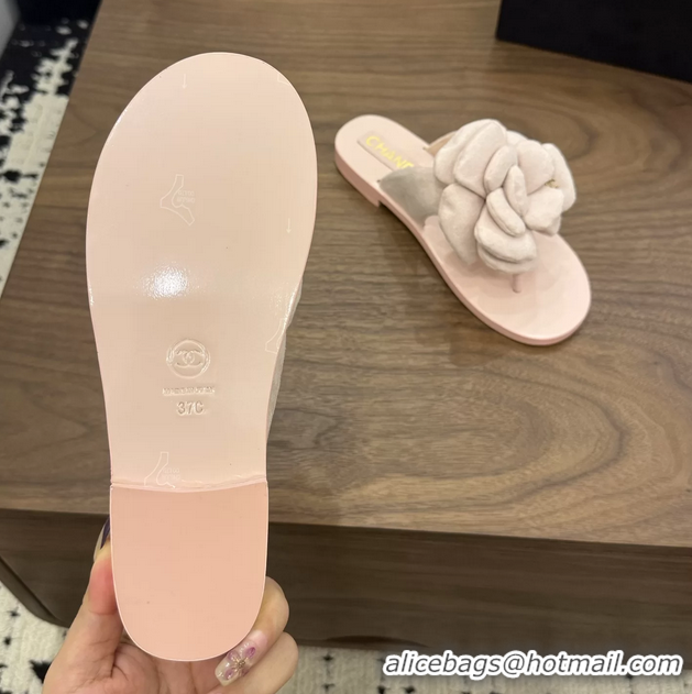 Discount Fashion Chanel Pink Camellia Flower Flat Thong Sandals 6052102