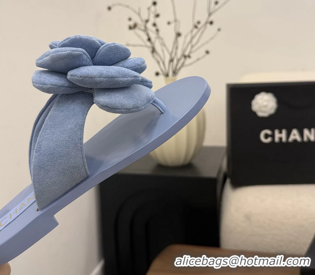 Low Price Chanel Light Blue Camellia Flower Flat Thong Sandals 6052102