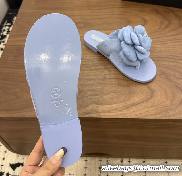 Low Price Chanel Light Blue Camellia Flower Flat Thong Sandals 6052102